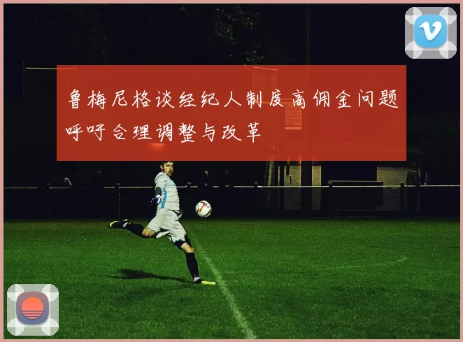 鲁梅尼格谈经纪人制度高佣金问题呼吁合理调整与改革